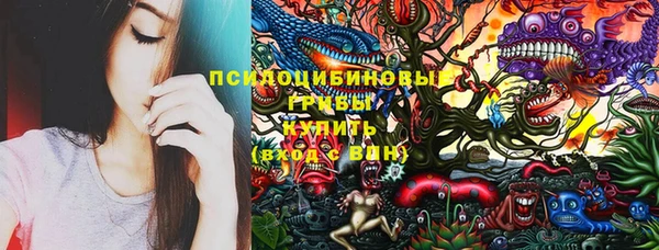 дживик Богданович