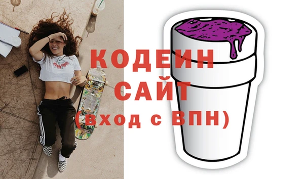 амф Бородино