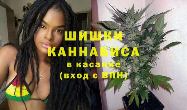 дживик Богданович