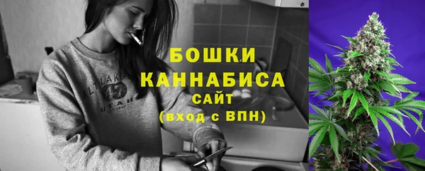 гашик Богородицк