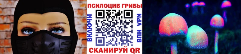 Купить где  Галич  Псилоцибиновые грибы прущие грибы 